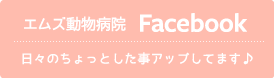 エムズ動物病院Facebook