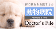 ドクターズファイル