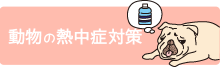 熱中症対策
