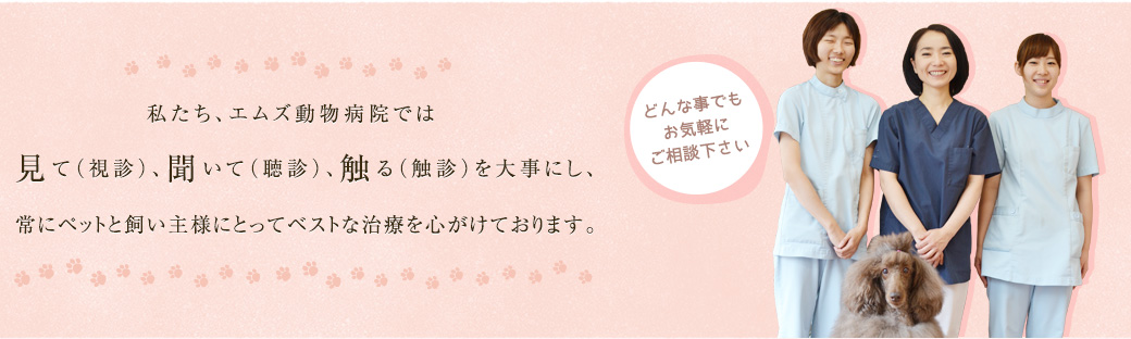私たち、エムズ動物病院では見て（視診）、聞いて（聴診）、触る（触診）を大事にし、常にペットと飼い主様にとってベストな治療を心がけております。