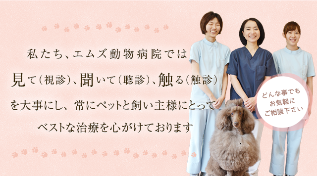 私たち、エムズ動物病院では見て（視診）、聞いて（聴診）、触る（触診）を大事にし、 常にペットと飼い主様にとってベストな治療を心がけております